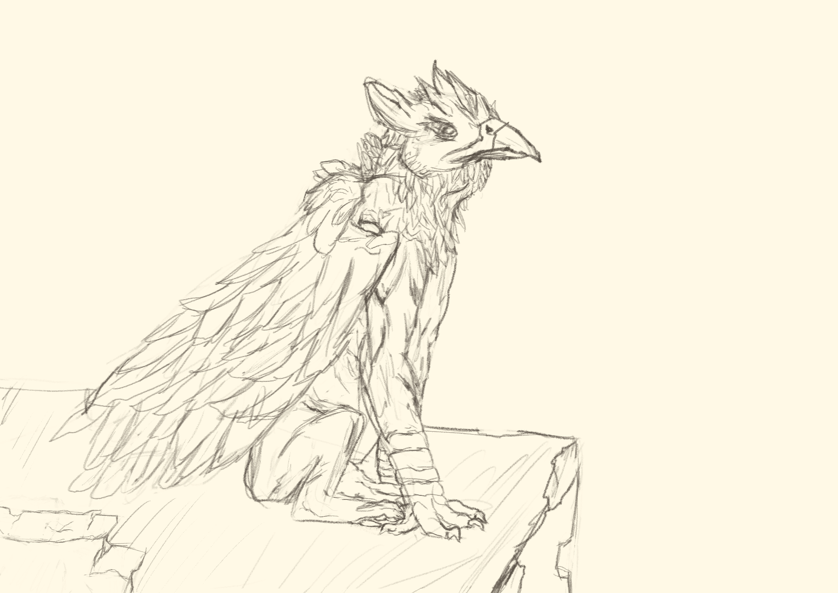 Griffon